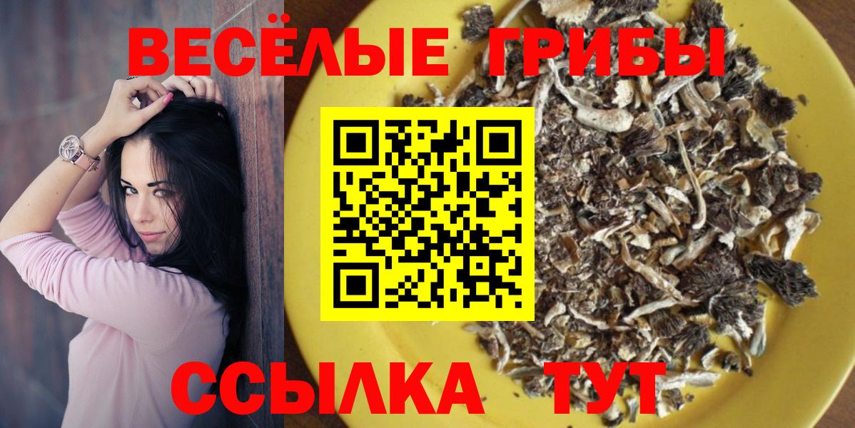 Ишимбай  Галлюциногенные грибы Psilocybe  Галлюциногенные грибы мухоморы  Вход с VPN 